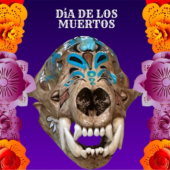 American Badger skull handpainted art skeletons  turquoise OOAK home decor - Picture 3 of 8